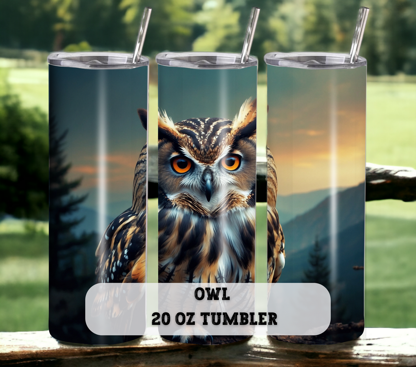 Owl 20 oz Skinny Tumbler with Straw - Stainless Steel, Eco-Friendly, Reusable Metal Straw - Lid Drink Drinkware Water Bottles