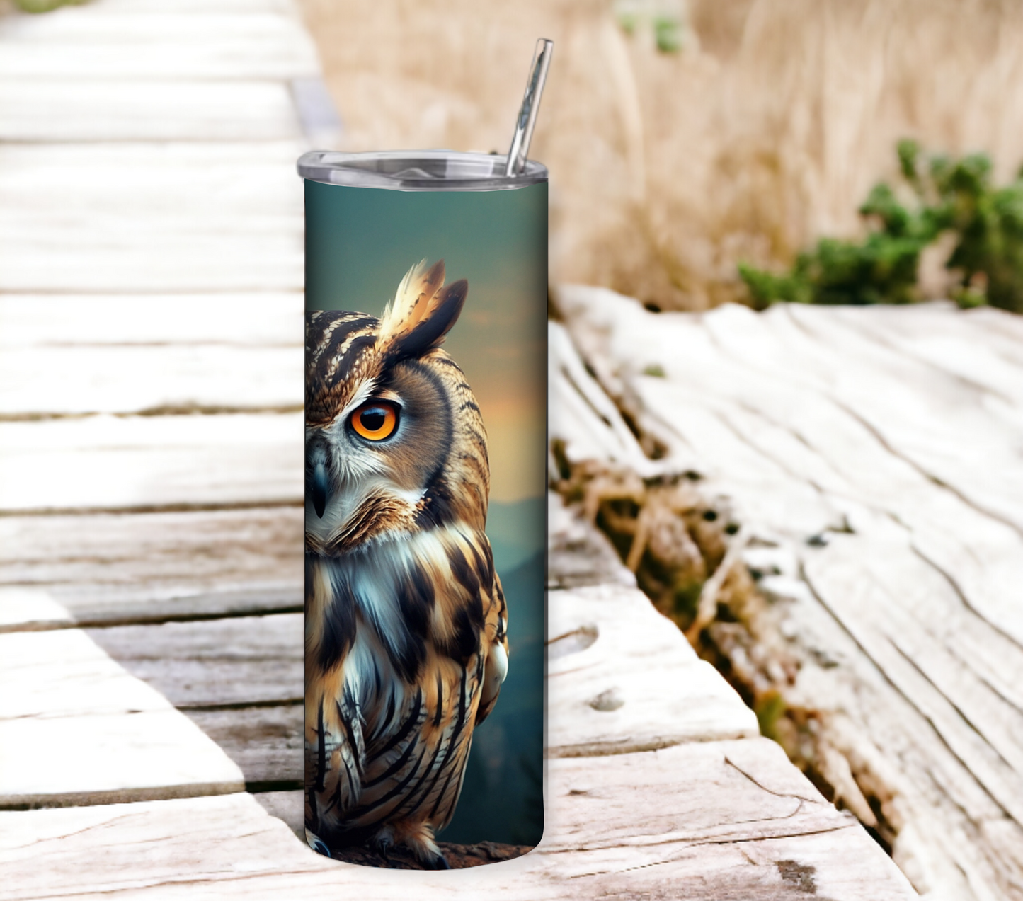 Owl 20 oz Skinny Tumbler with Straw - Stainless Steel, Eco-Friendly, Reusable Metal Straw - Lid Drink Drinkware Water Bottles