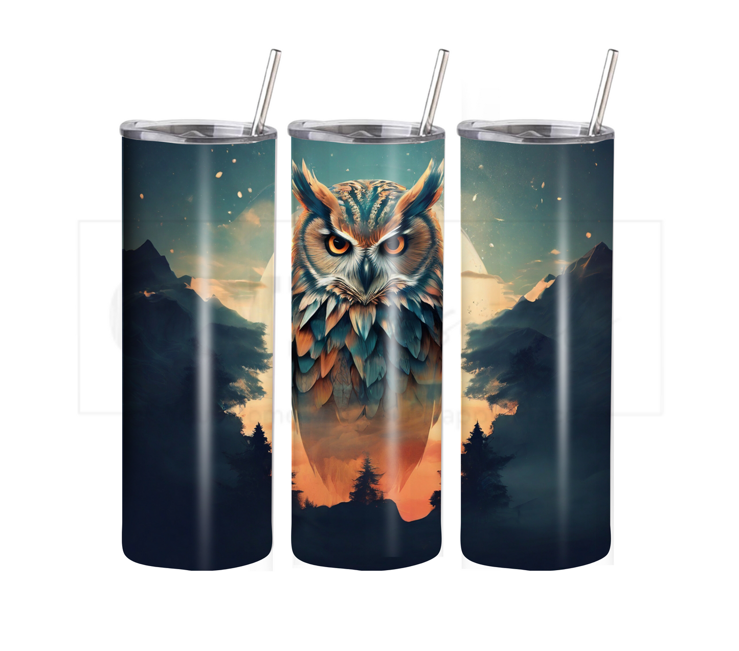 Owl 20 oz Skinny Tumbler with Straw - Stainless Steel, Eco-Friendly, Reusable Metal Straw - Lid Drink Drinkware Water Bottles