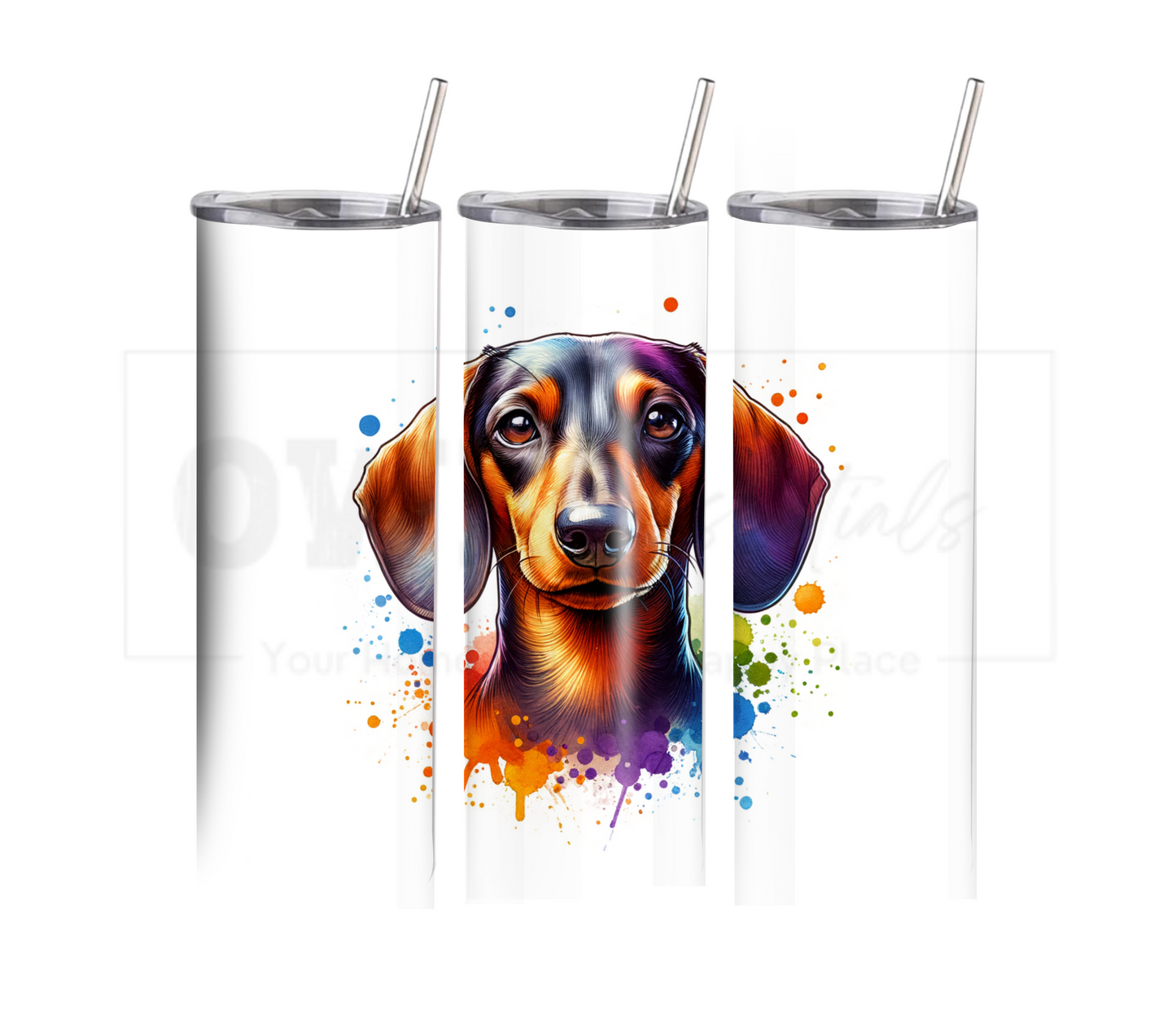 Dachshund 20 oz Skinny Tumbler with Straw - Stainless Steel, Eco-Friendly, Reusable Metal Straw - Lid Drink Drinkware Water Bottles