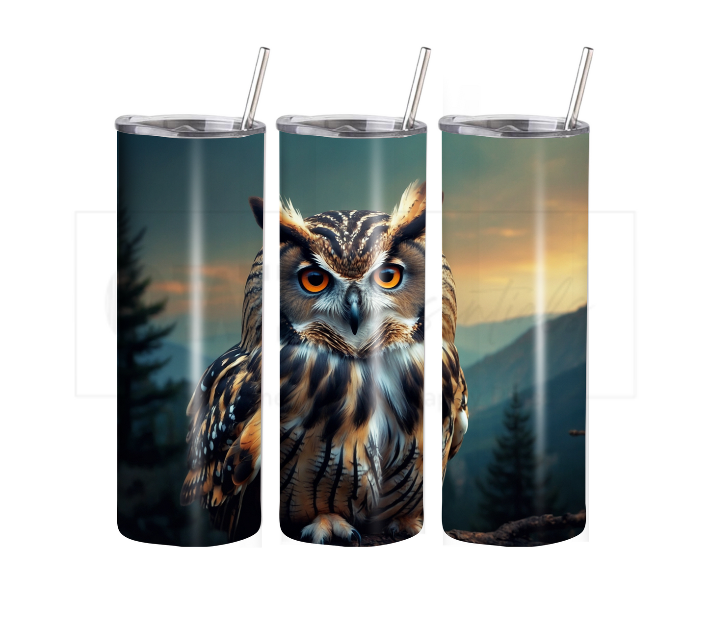 Owl 20 oz Skinny Tumbler with Straw - Stainless Steel, Eco-Friendly, Reusable Metal Straw - Lid Drink Drinkware Water Bottles